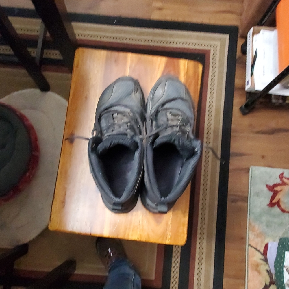 Hiking shoes